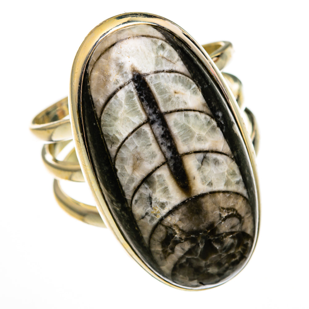 Orthoceras Fossil Rings handcrafted by Ana Silver Co - RING78530