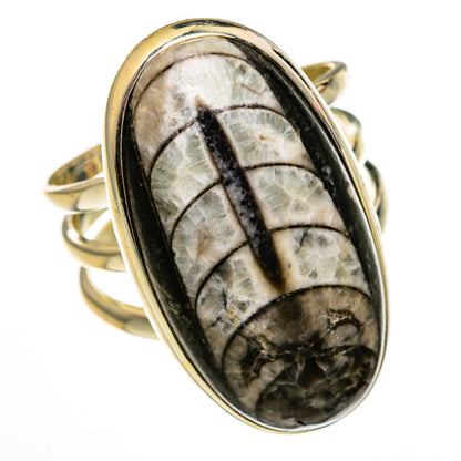 Orthoceras Fossil Rings handcrafted by Ana Silver Co - RING78530