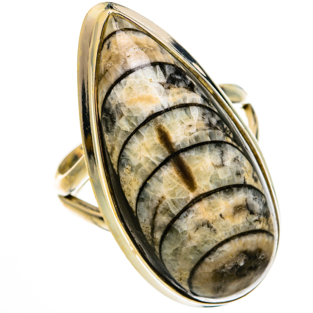 Orthoceras Fossil Rings handcrafted by Ana Silver Co - RING78531