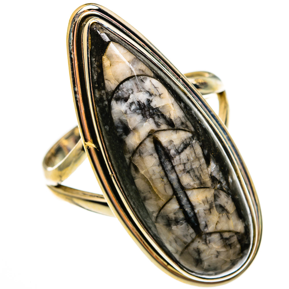 Orthoceras Fossil Rings handcrafted by Ana Silver Co - RING78558