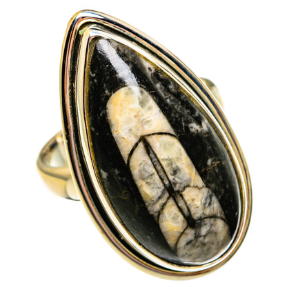 Orthoceras Fossil Rings handcrafted by Ana Silver Co - RING78559