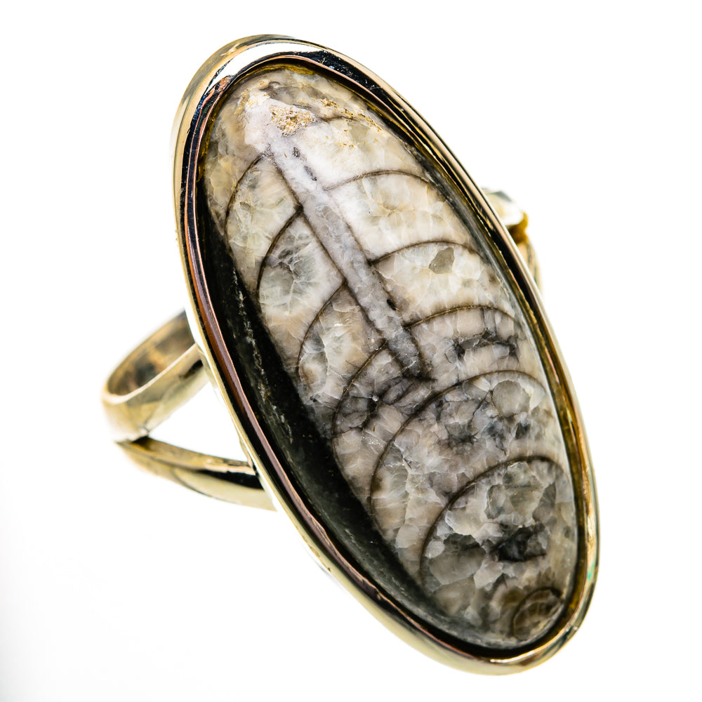 Orthoceras Fossil Rings handcrafted by Ana Silver Co - RING78621