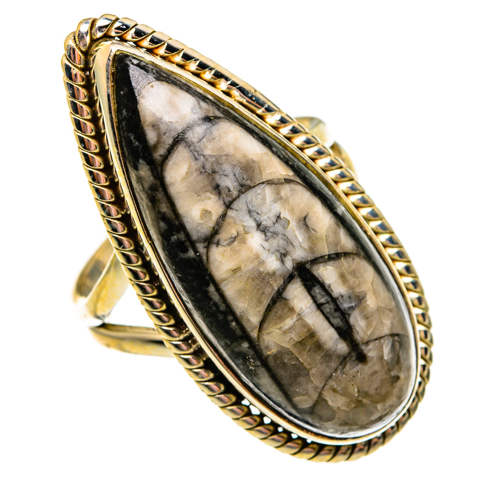 Orthoceras Fossil Rings handcrafted by Ana Silver Co - RING78644