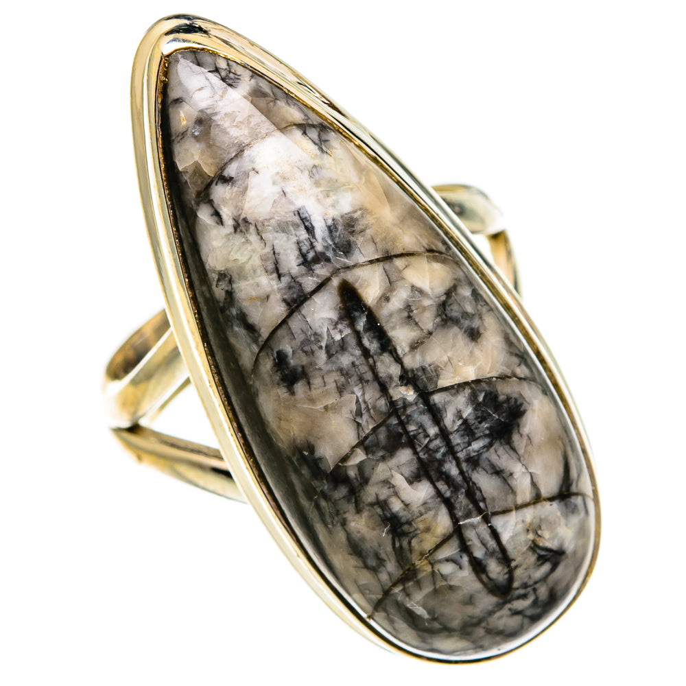 Orthoceras Fossil Rings handcrafted by Ana Silver Co - RING78645