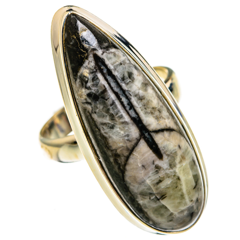 Orthoceras Fossil Rings handcrafted by Ana Silver Co - RING78728