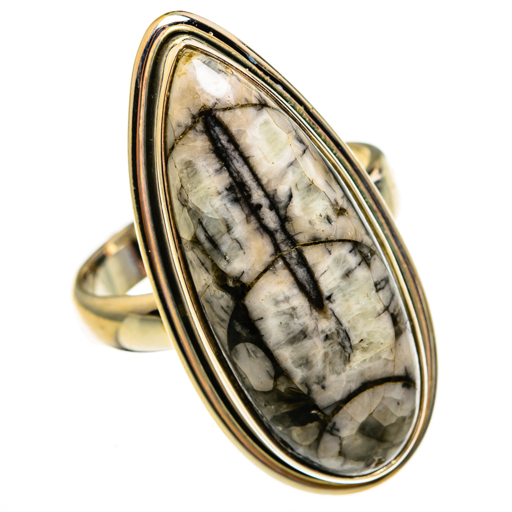 Orthoceras Fossil Rings handcrafted by Ana Silver Co - RING78729