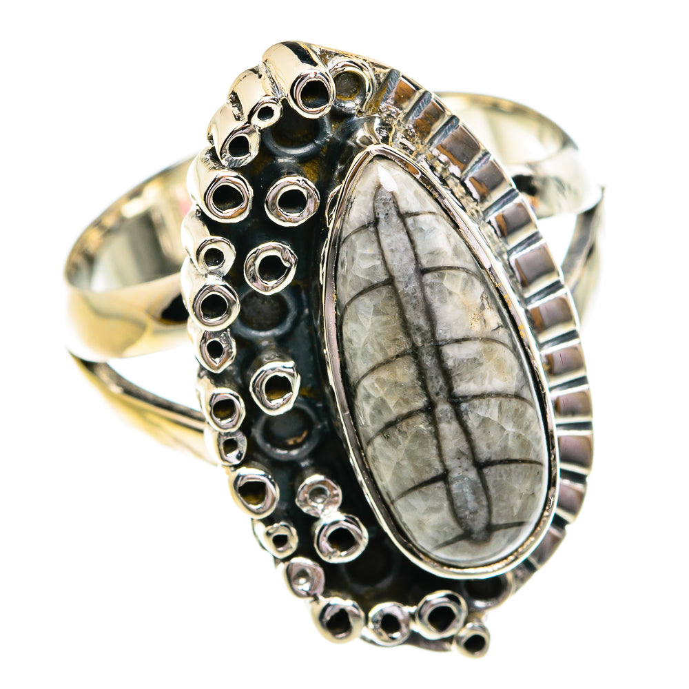Orthoceras Fossil Rings handcrafted by Ana Silver Co - RING79106