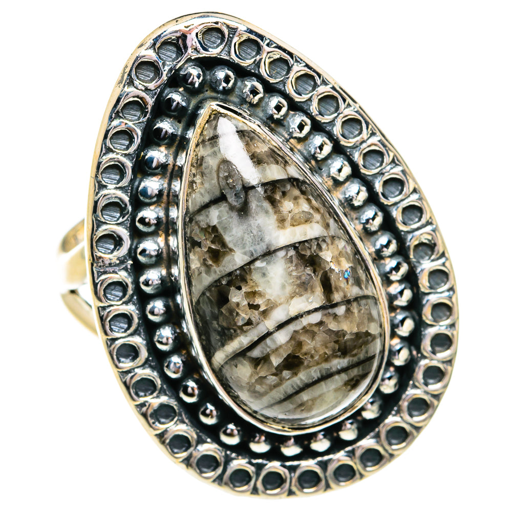 Orthoceras Fossil Rings handcrafted by Ana Silver Co - RING79199