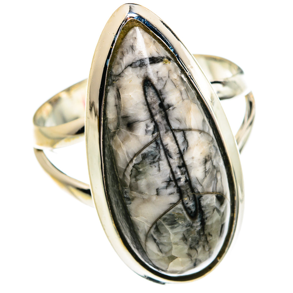 Orthoceras Fossil Rings handcrafted by Ana Silver Co - RING79228
