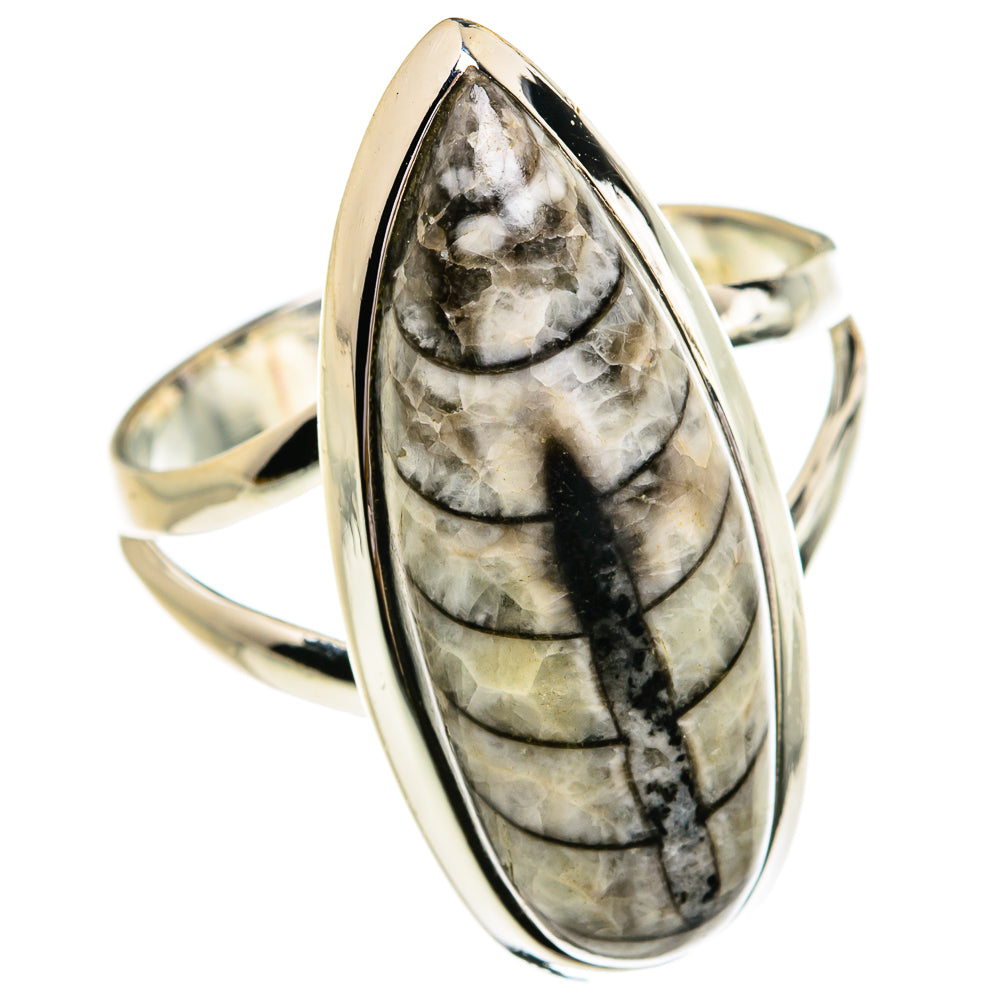 Orthoceras Fossil Rings handcrafted by Ana Silver Co - RING79307