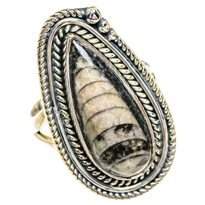Orthoceras Fossil Rings handcrafted by Ana Silver Co - RING79329