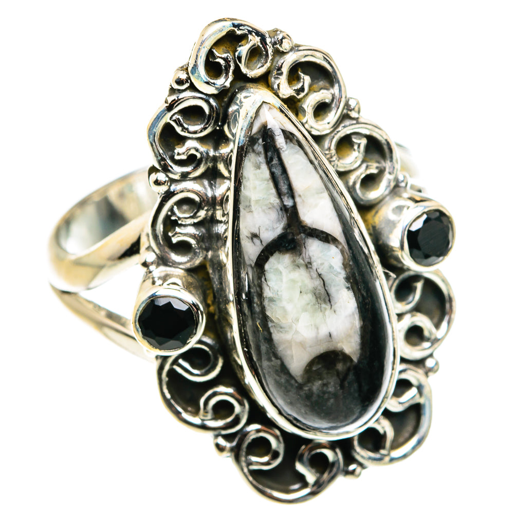Orthoceras Fossil Rings handcrafted by Ana Silver Co - RING79497