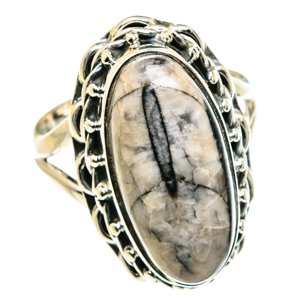 Orthoceras Fossil Rings handcrafted by Ana Silver Co - RING79506