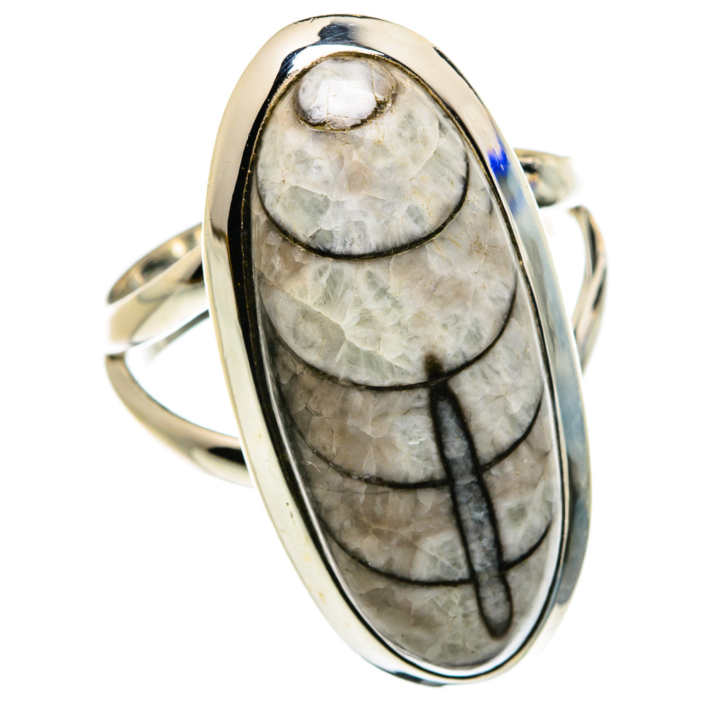 Orthoceras Fossil Rings handcrafted by Ana Silver Co - RING79707