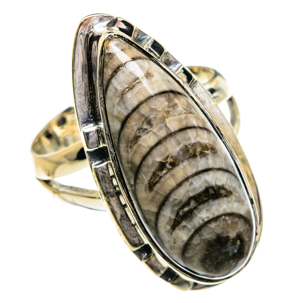 Oval sterling silver fossil ring with black-and-cream spiral stone, high-shine bezel