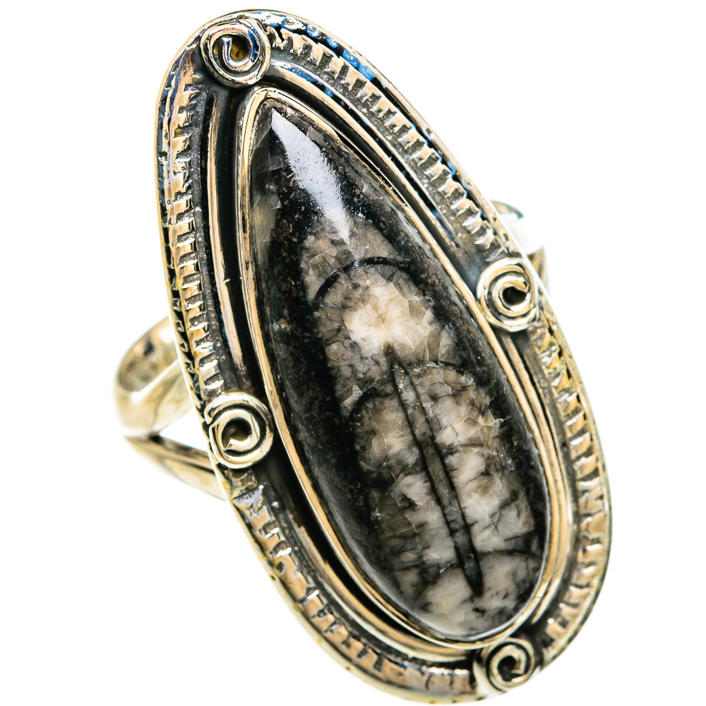 Orthoceras Fossil Rings handcrafted by Ana Silver Co - RING81395