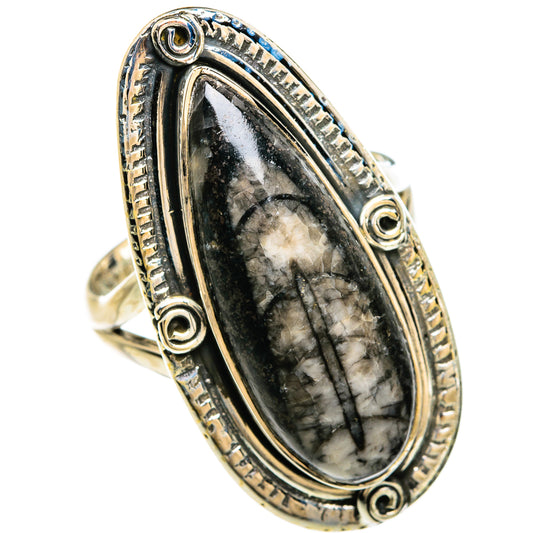 Orthoceras Fossil Rings handcrafted by Ana Silver Co - RING81395