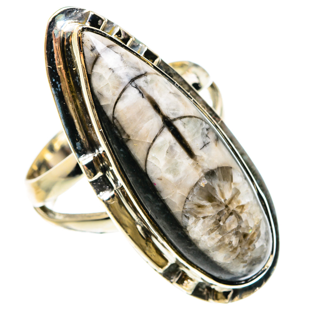 Orthoceras Fossil Rings handcrafted by Ana Silver Co - RING83226