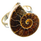 Ammonite Fossil Rings handcrafted by Ana Silver Co - RING88735