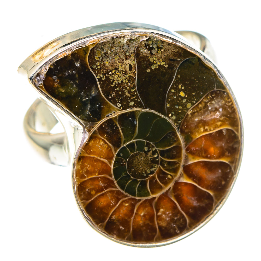Ammonite Fossil Rings handcrafted by Ana Silver Co - RING88798