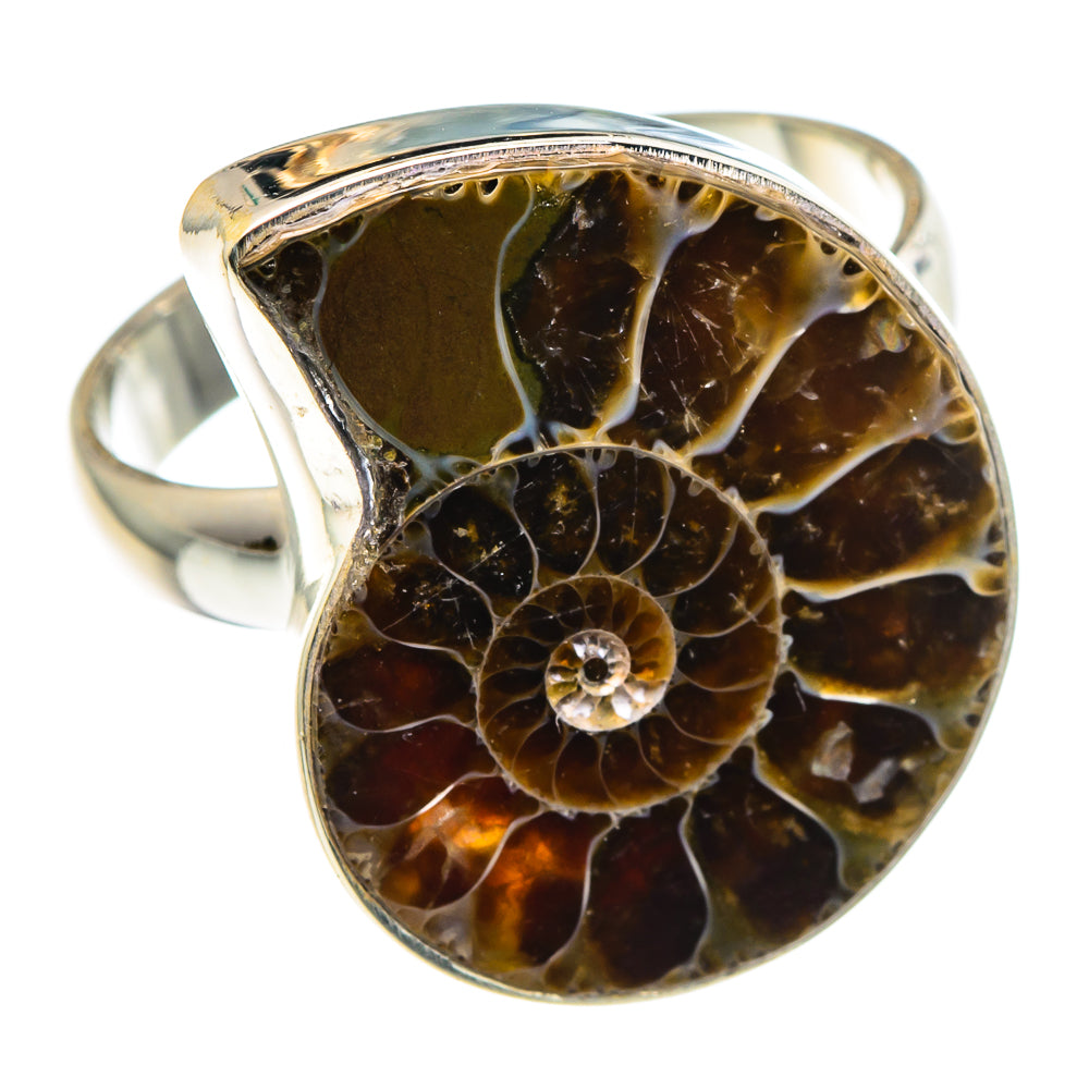 Ammonite Fossil Rings handcrafted by Ana Silver Co - RING89115