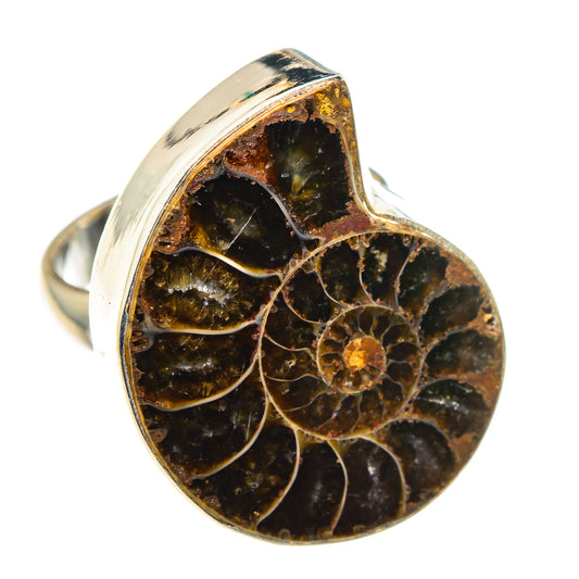 Ammonite Fossil Rings handcrafted by Ana Silver Co - RING89618