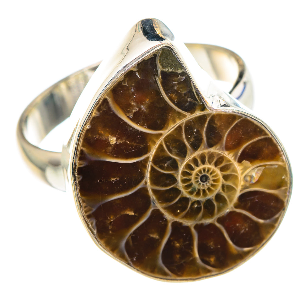 Ammonite Fossil Rings handcrafted by Ana Silver Co - RING89685