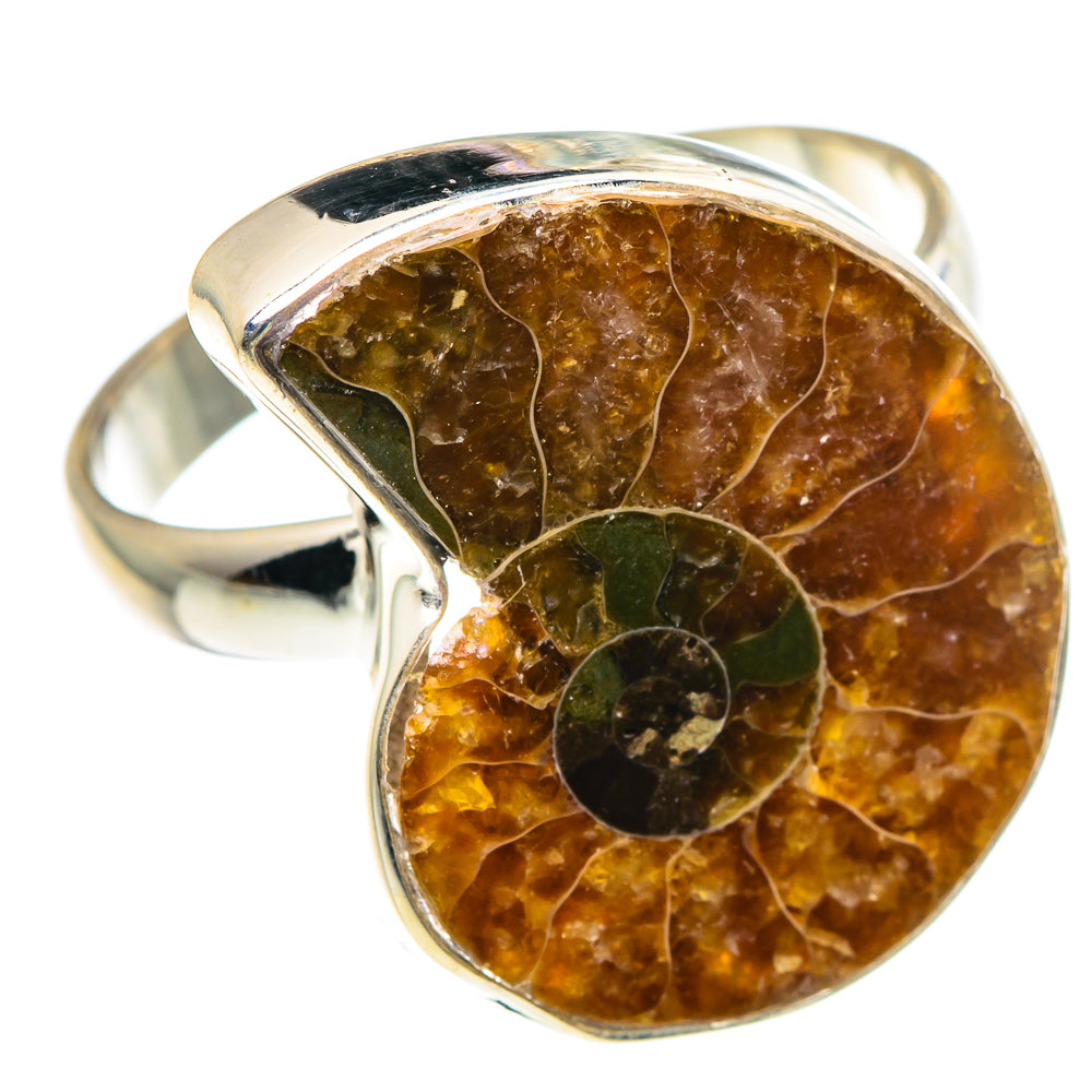 Ammonite Fossil Rings handcrafted by Ana Silver Co - RING90606