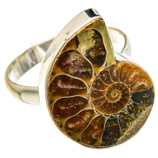 Ammonite Fossil Rings handcrafted by Ana Silver Co - RING91219
