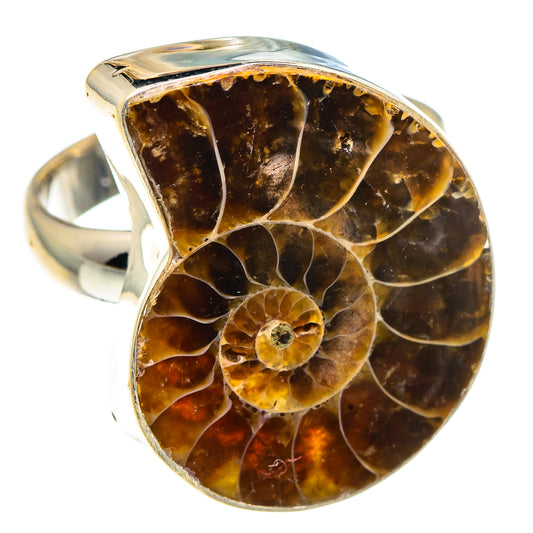 Ammonite Fossil Rings handcrafted by Ana Silver Co - RING91222