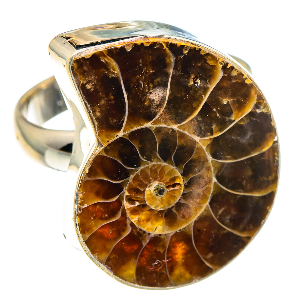 Ammonite Fossil Rings handcrafted by Ana Silver Co - RING91222