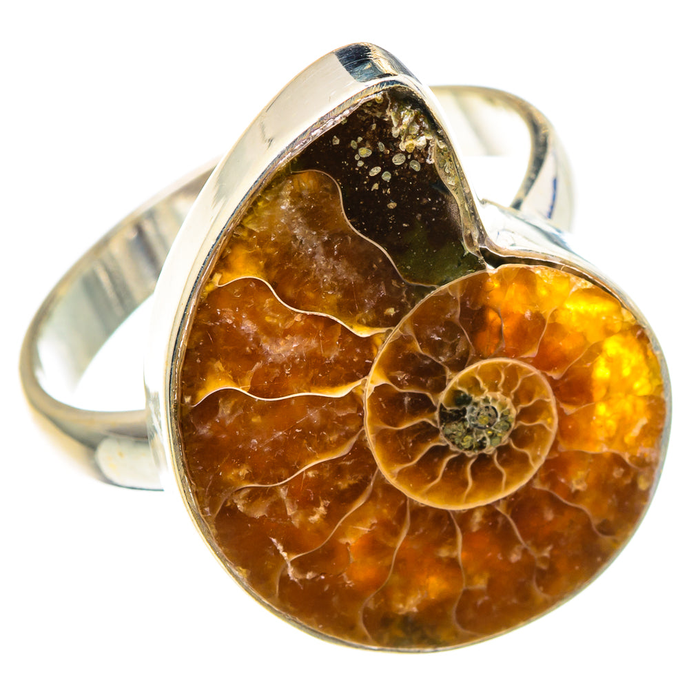 Ammonite Fossil Rings handcrafted by Ana Silver Co - RING91266