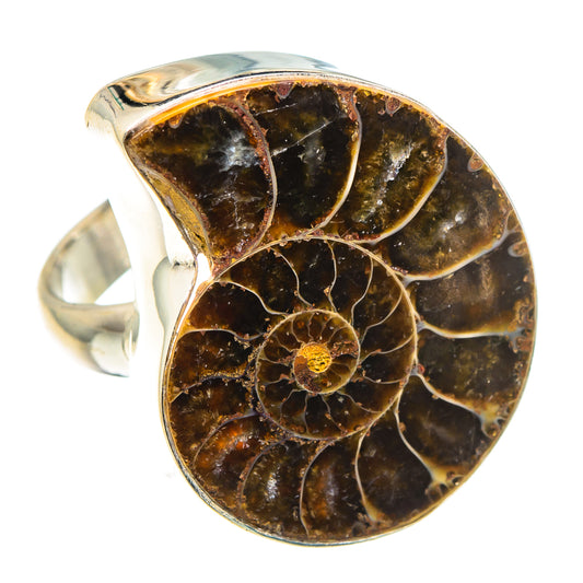 Ammonite Fossil Rings handcrafted by Ana Silver Co - RING91587