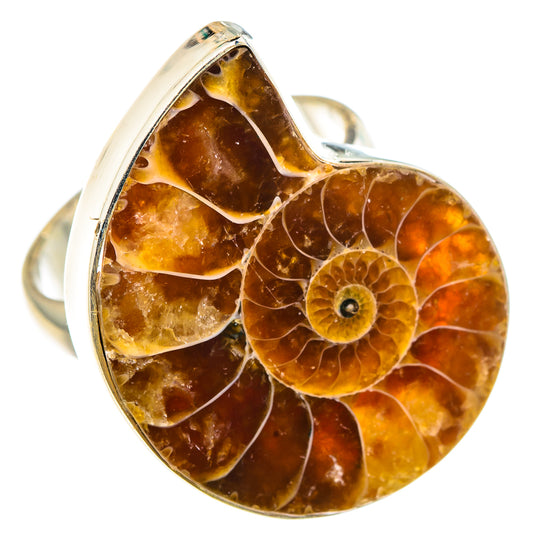 Ammonite Fossil Rings handcrafted by Ana Silver Co - RING91593