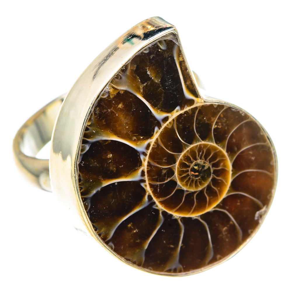 Ammonite Fossil Rings handcrafted by Ana Silver Co - RING91772