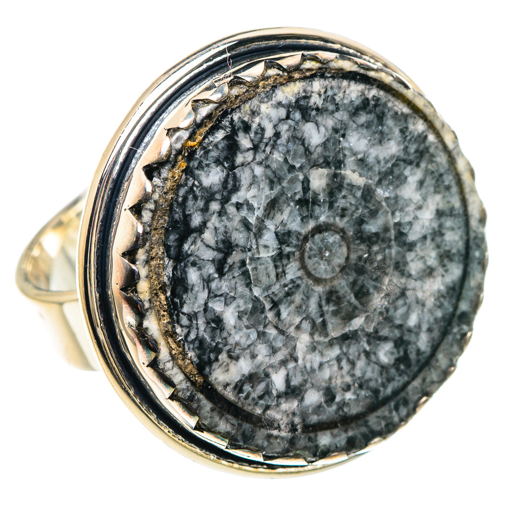 Moroccan Goniatite Fossil Rings handcrafted by Ana Silver Co - RING93166