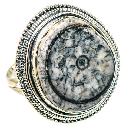 Moroccan Goniatite Fossil Rings handcrafted by Ana Silver Co - RING93283
