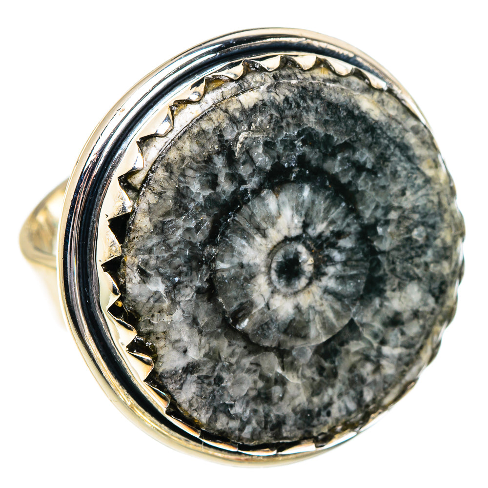 Goniatite Fossil Rings handcrafted by Ana Silver Co - RING95061