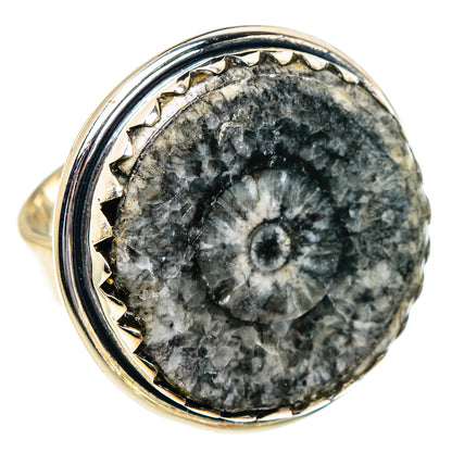 Goniatite Fossil Rings handcrafted by Ana Silver Co - RING95061