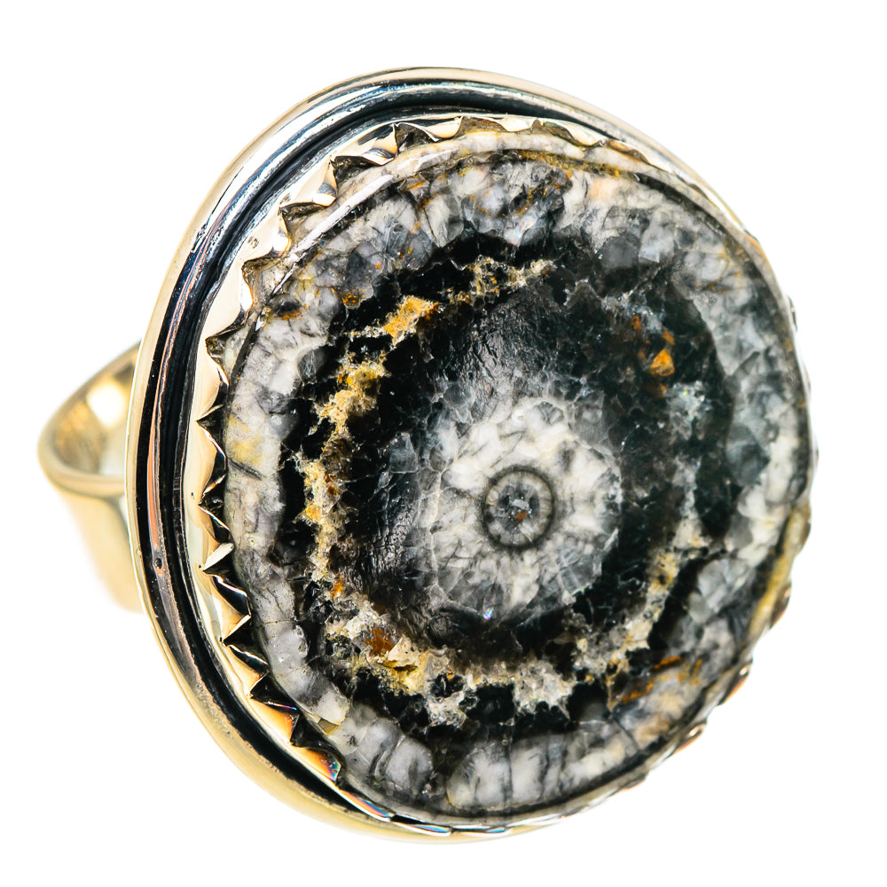 Goniatite Fossil Rings handcrafted by Ana Silver Co - RING95333