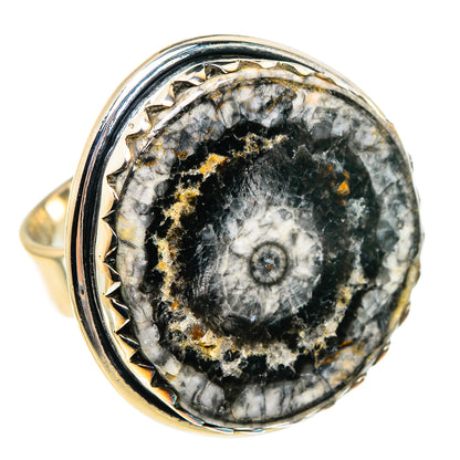 Goniatite Fossil Rings handcrafted by Ana Silver Co - RING95333