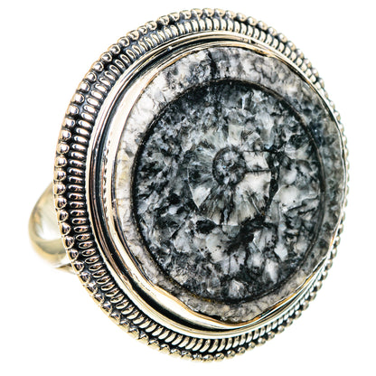 Goniatite Fossil Rings handcrafted by Ana Silver Co - RING95388