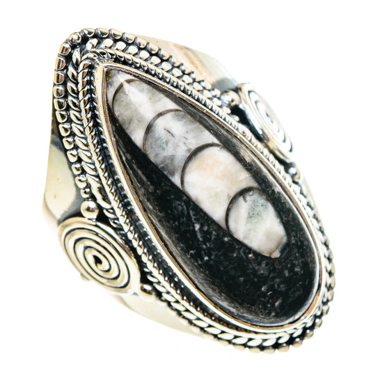 Orthoceras Fossil Rings handcrafted by Ana Silver Co - RING95450