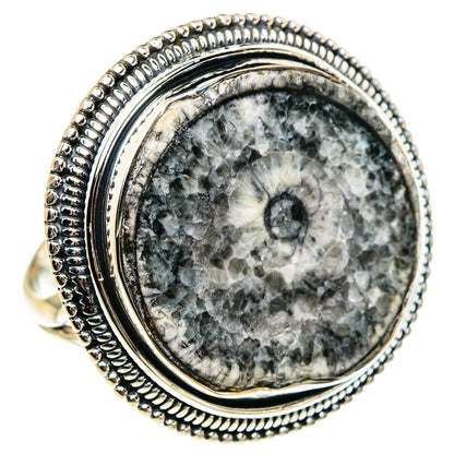 Goniatite Fossil Rings handcrafted by Ana Silver Co - RING95683