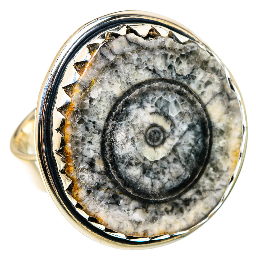 Goniatite Fossil Rings handcrafted by Ana Silver Co - RING95725