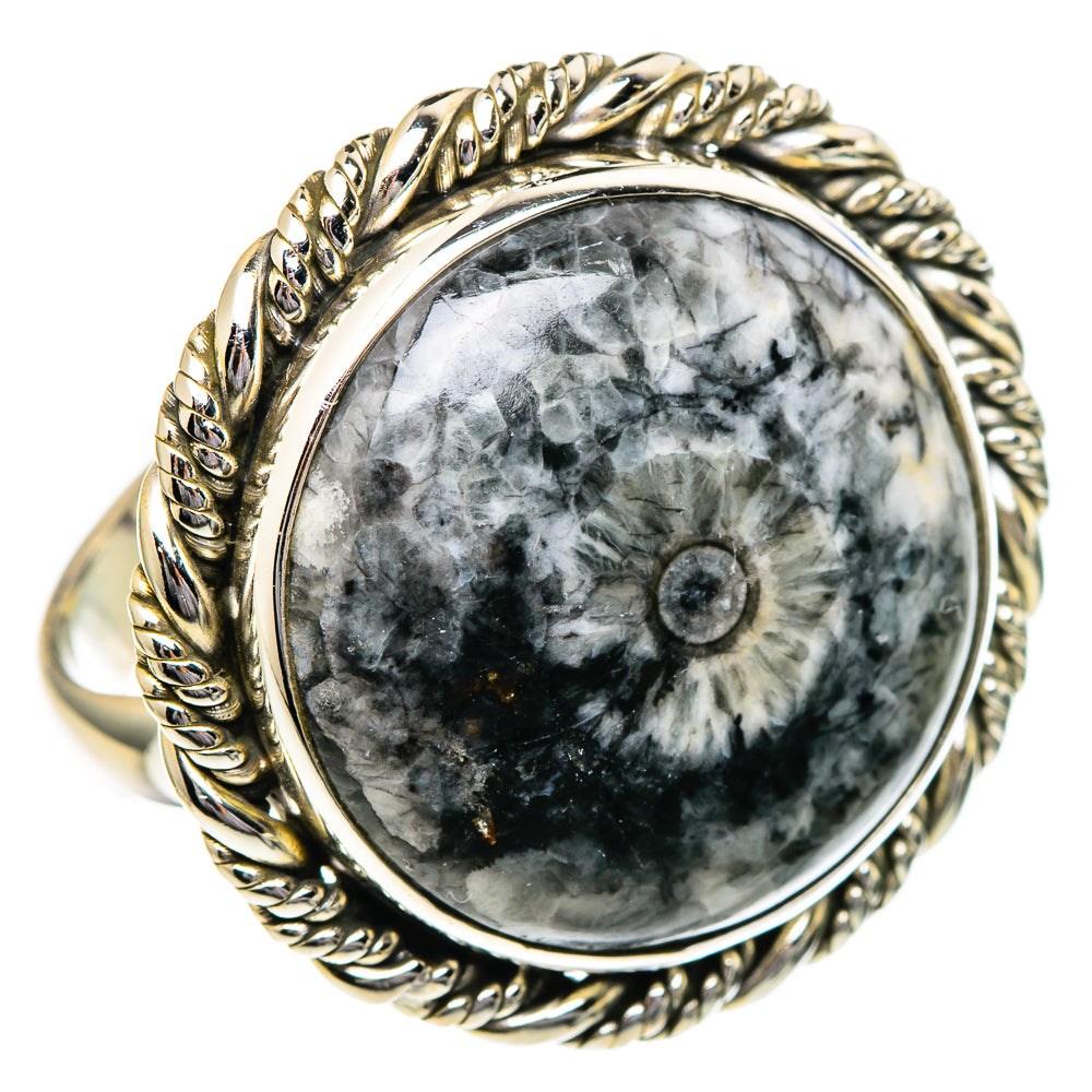 Moroccan Goniatite Fossil Rings handcrafted by Ana Silver Co - RING96599