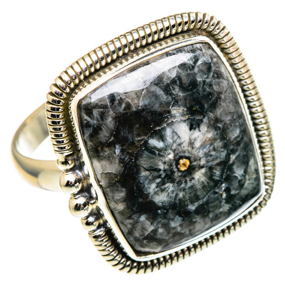 Moroccan Goniatite Fossil Rings handcrafted by Ana Silver Co - RING96955