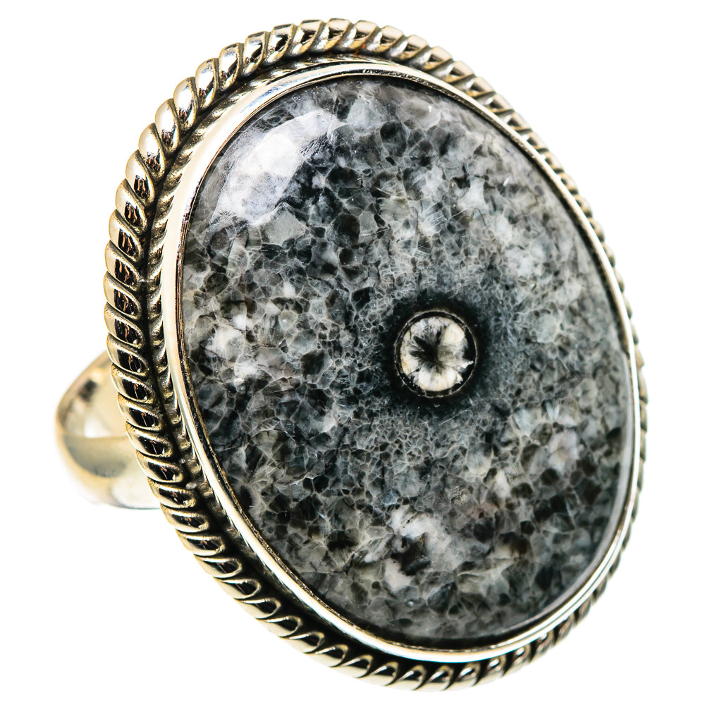 Moroccan Goniatite Fossil Rings handcrafted by Ana Silver Co - RING96956