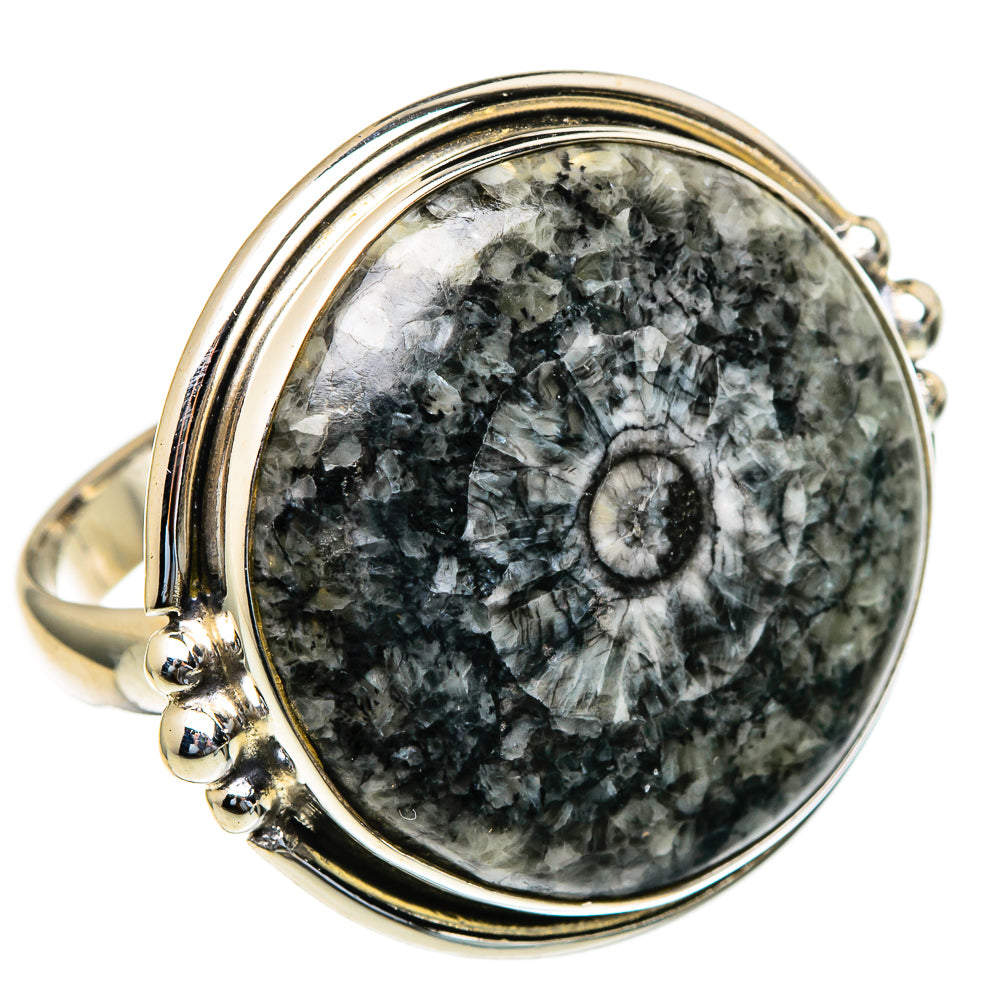 Moroccan Goniatite Fossil Rings handcrafted by Ana Silver Co - RING98267