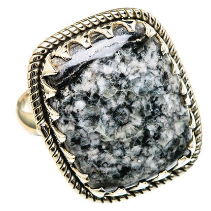 Large oval goniatite fossil ring, 925 sterling silver, ornate bezel with dark gray stone